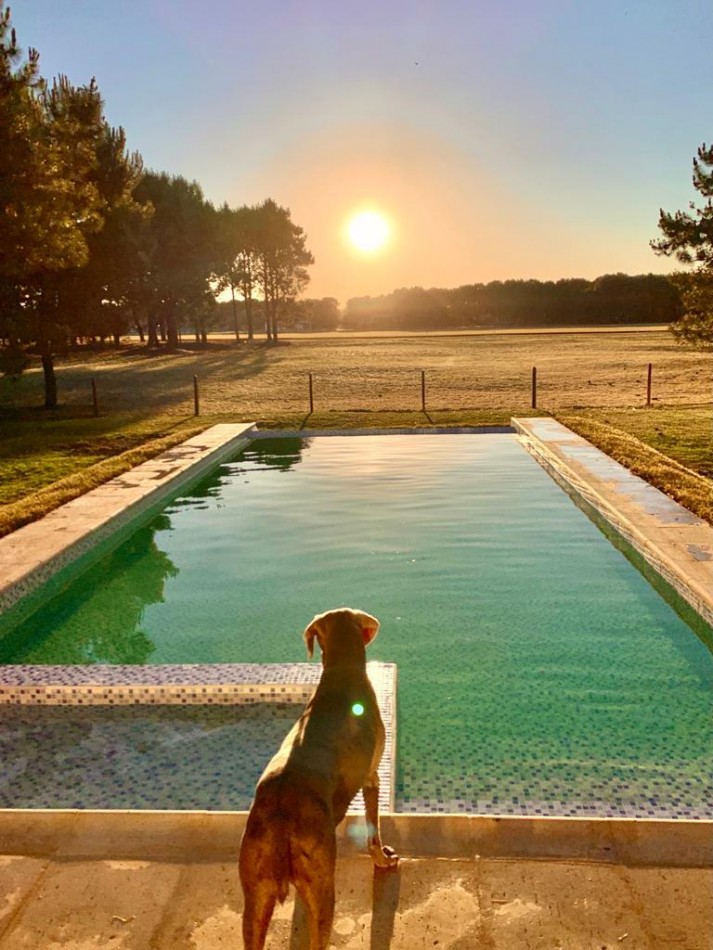 Casa de 4 Dormitorios - Sobre la Cancha de Polo en La Herradura, Pinamar.