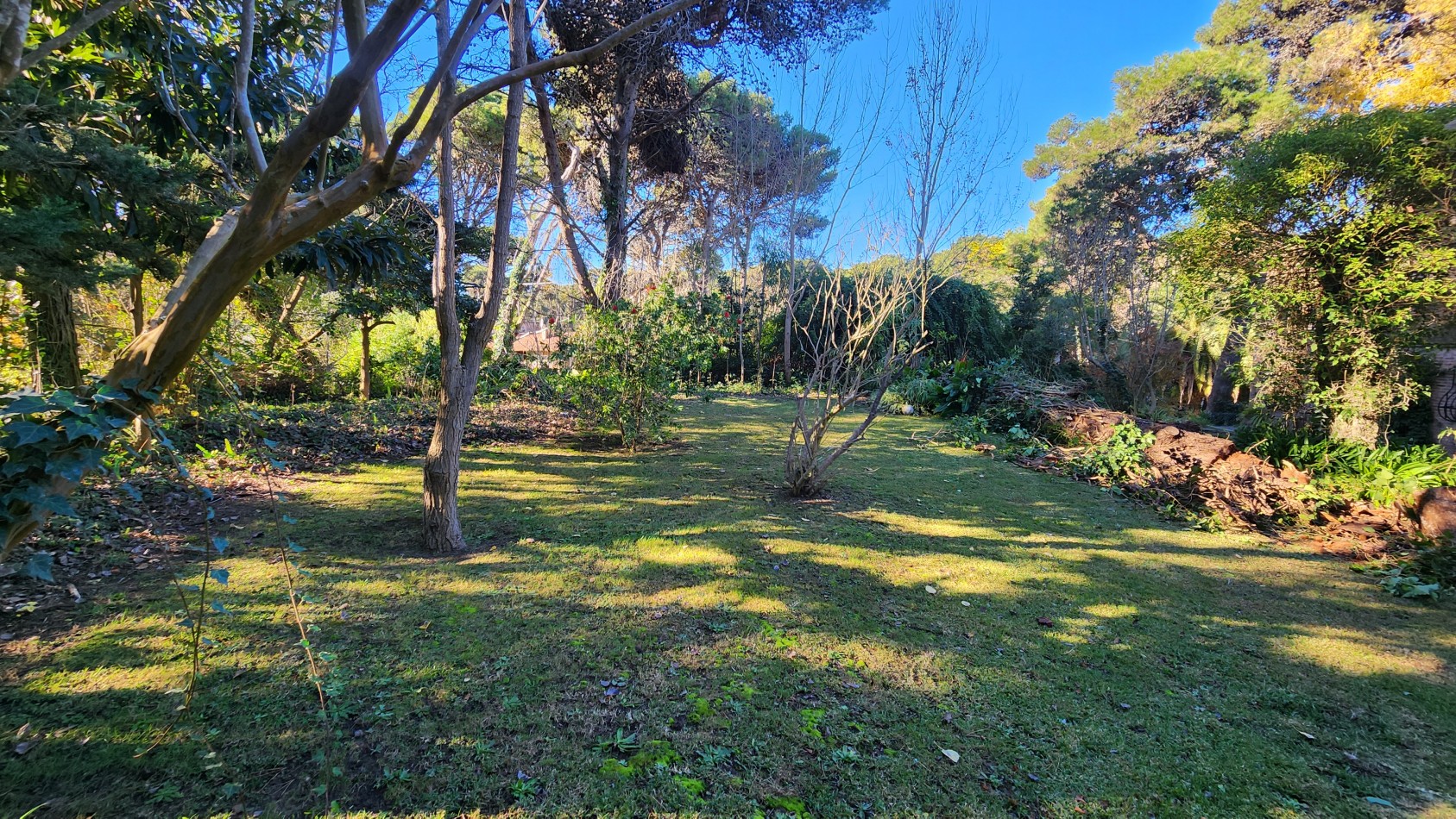 Terreno/Lote Venta Pinamar Zona B5 723 m2 Cercano al centro