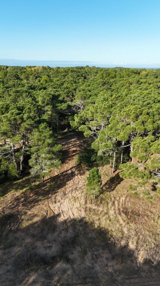 Lote-Terreno en Venta Pinamar Barrio Bosques Mz AM Lote 3