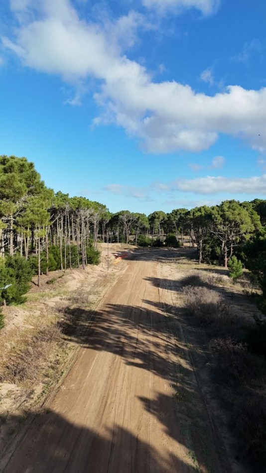 Lote-Terreno en Venta Pinamar Barrio Bosques Mz AM Lote 3