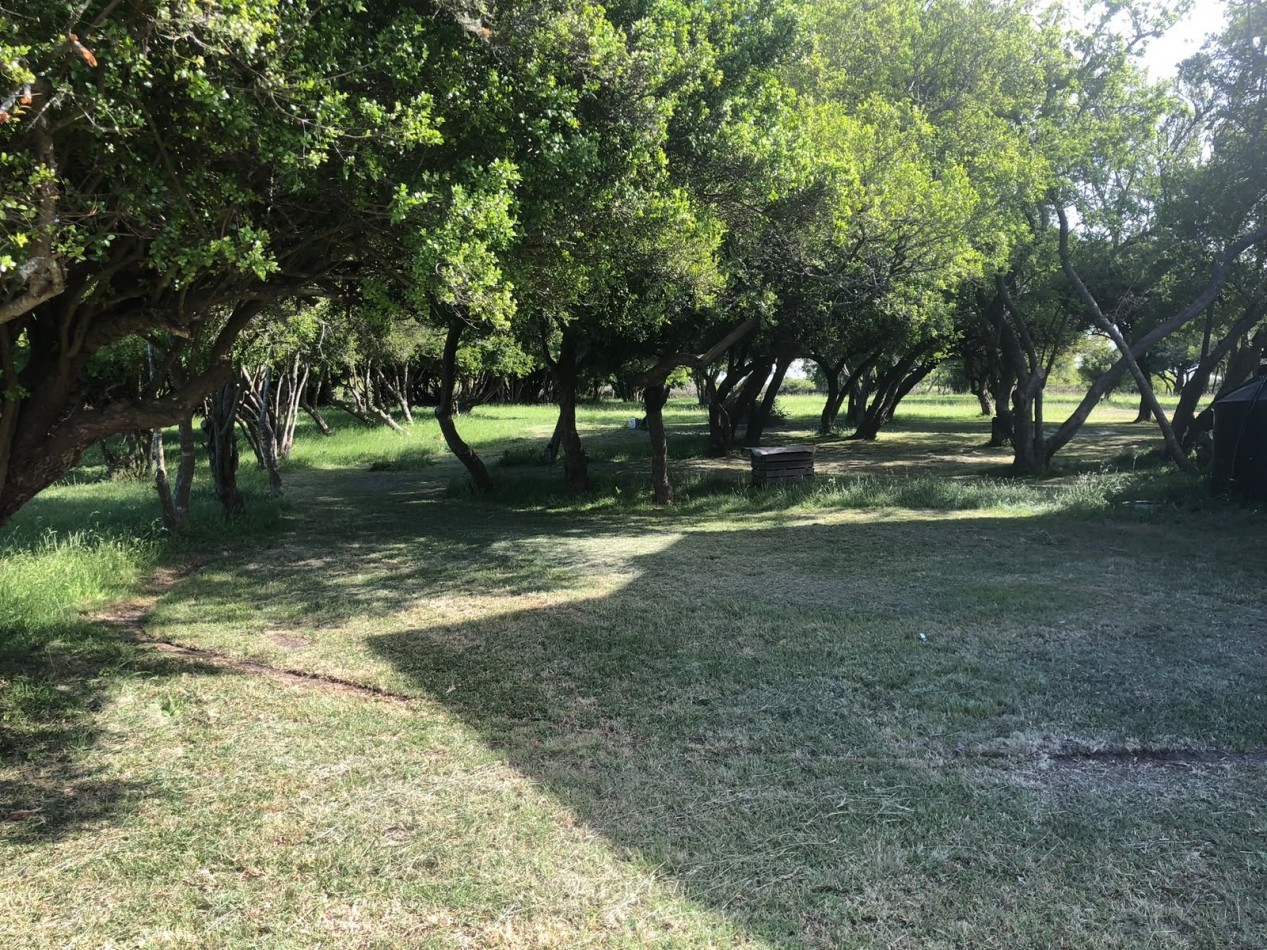 Chacra Terreno en Venta Laguna del Rosario Madariaga-Pinamar 10.000 m2 Vista a laguna Muelle propio