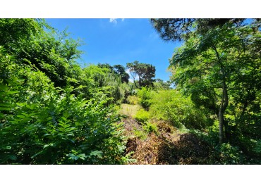 Lote/Terreno en venta Pinamar Zona Iglesia 683 m2 Hipocampo