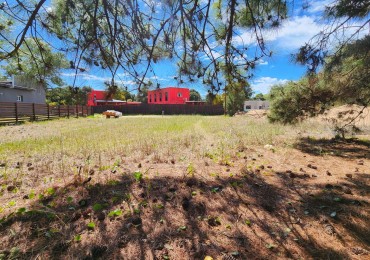 Terreno/Lote en Venta Pinamar Nayades 798 m2